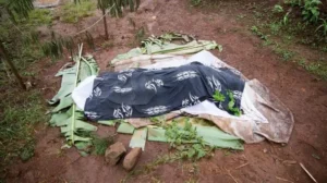 Pregnant Woman Brutally Killed by Husband in Bono Region — Manhunt Underway
